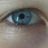 lelelele